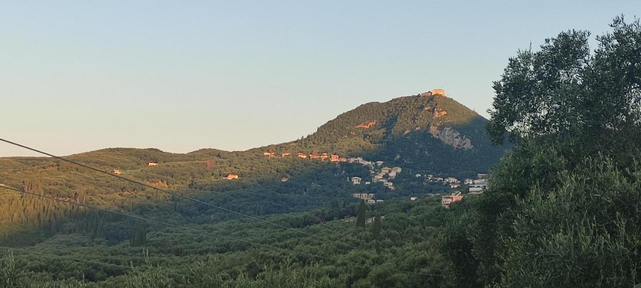 Angelos Apartment Parga